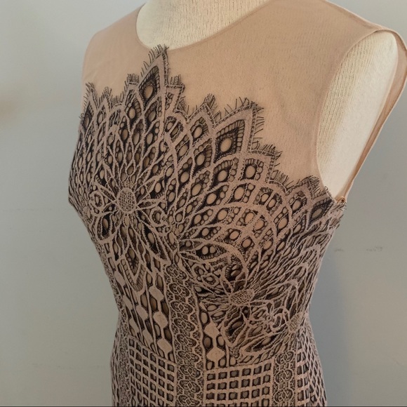 BCBG MaxAzria blush & black lace dress NEW nude - Picture 15 of 16